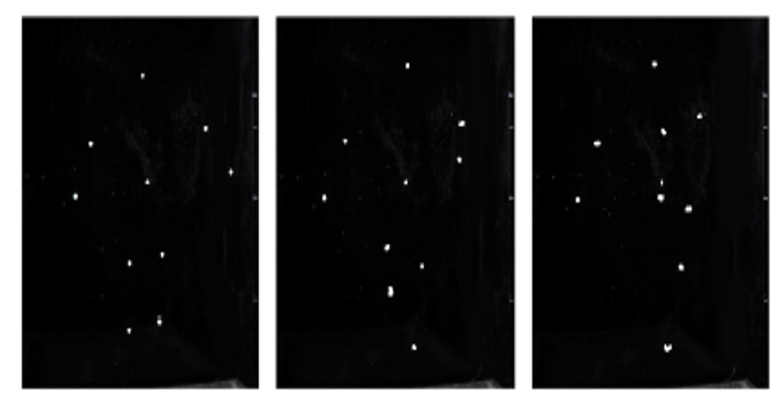 Temporal